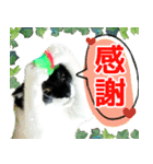 ヤングミツ夫の日常会話（夏バージョン)（個別スタンプ：27）