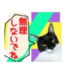 ヤングミツ夫の日常会話（夏バージョン)（個別スタンプ：30）