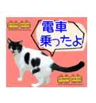 ヤングミツ夫の日常会話（夏バージョン)（個別スタンプ：31）
