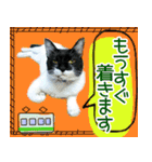 ヤングミツ夫の日常会話（夏バージョン)（個別スタンプ：32）