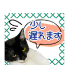 ヤングミツ夫の日常会話（夏バージョン)（個別スタンプ：33）