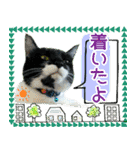 ヤングミツ夫の日常会話（夏バージョン)（個別スタンプ：34）