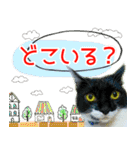 ヤングミツ夫の日常会話（夏バージョン)（個別スタンプ：35）