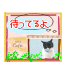 ヤングミツ夫の日常会話（夏バージョン)（個別スタンプ：36）