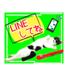 ヤングミツ夫の日常会話（夏バージョン)（個別スタンプ：37）