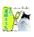 ヤングミツ夫の日常会話（夏バージョン)（個別スタンプ：38）