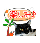 ヤングミツ夫の日常会話（夏バージョン)（個別スタンプ：39）