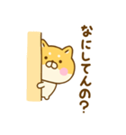 友達と使えるゆる柴犬（個別スタンプ：1）