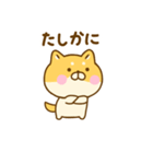 友達と使えるゆる柴犬（個別スタンプ：5）