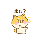 友達と使えるゆる柴犬（個別スタンプ：13）