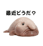 ブロブフィッシュ希少種（個別スタンプ：3）