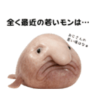 ブロブフィッシュ希少種（個別スタンプ：9）
