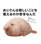 ブロブフィッシュ希少種（個別スタンプ：13）