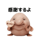 ブロブフィッシュ希少種（個別スタンプ：18）