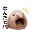 ブロブフィッシュ希少種（個別スタンプ：26）