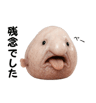 ブロブフィッシュ希少種（個別スタンプ：29）