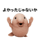 ブロブフィッシュ希少種（個別スタンプ：34）