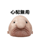 ブロブフィッシュ希少種（個別スタンプ：36）