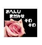 返信待ちor拒否（個別スタンプ：3）