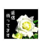 返信待ちor拒否（個別スタンプ：10）
