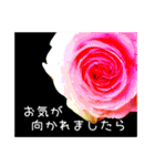 返信待ちor拒否（個別スタンプ：12）