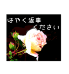返信待ちor拒否（個別スタンプ：24）