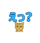 子ネコの日常②（個別スタンプ：1）