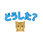 子ネコの日常②（個別スタンプ：3）