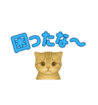 子ネコの日常②（個別スタンプ：7）
