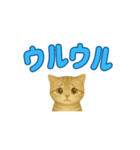 子ネコの日常②（個別スタンプ：10）