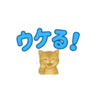 子ネコの日常②（個別スタンプ：13）