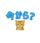 子ネコの日常②（個別スタンプ：18）
