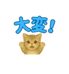子ネコの日常②（個別スタンプ：23）