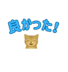 子ネコの日常②（個別スタンプ：25）