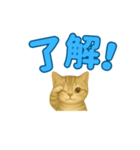子ネコの日常②（個別スタンプ：26）