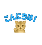 子ネコの日常②（個別スタンプ：29）