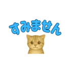 子ネコの日常②（個別スタンプ：31）