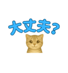 子ネコの日常②（個別スタンプ：33）