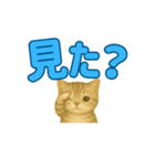 子ネコの日常②（個別スタンプ：34）