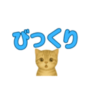 子ネコの日常②（個別スタンプ：35）