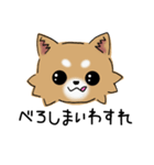 とにかくチワワかわいい（個別スタンプ：2）