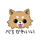 とにかくチワワかわいい（個別スタンプ：3）