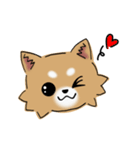 とにかくチワワかわいい（個別スタンプ：9）
