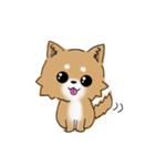 とにかくチワワかわいい（個別スタンプ：14）