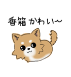 とにかくチワワかわいい（個別スタンプ：16）