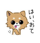 とにかくチワワかわいい（個別スタンプ：18）