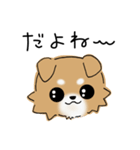 とにかくチワワかわいい（個別スタンプ：20）