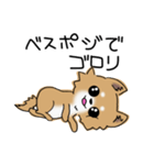 とにかくチワワかわいい（個別スタンプ：24）