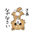 とにかくチワワかわいい（個別スタンプ：28）