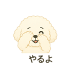 色んな白い可愛い犬日本語（個別スタンプ：9）